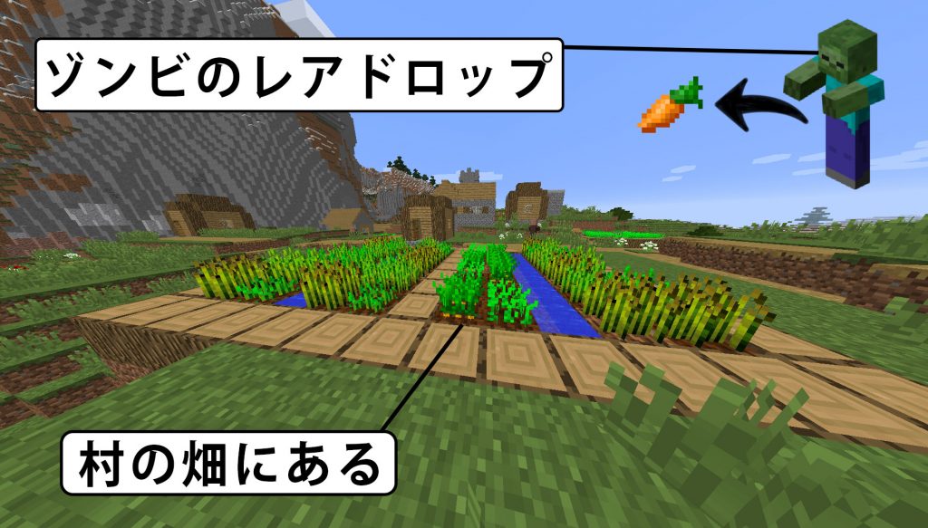 Minecraft ニンジンを栽培の仕方と入手方法など4つの基本を解説 マイクラ初心者のためのブログ