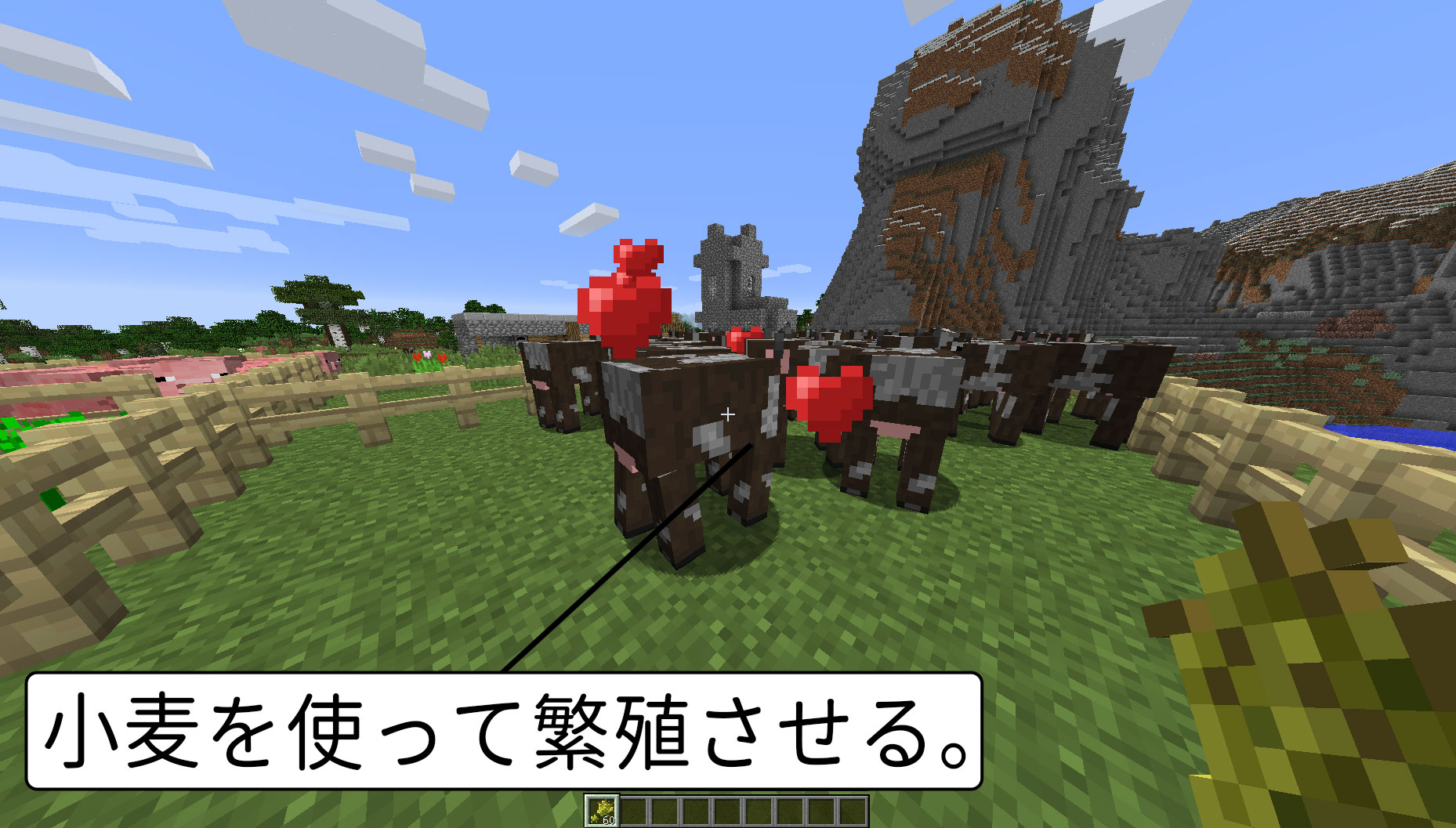 【マイクラ】牛の繁殖方法や使い道3つ 脱・初心者を目指すマインクラフト