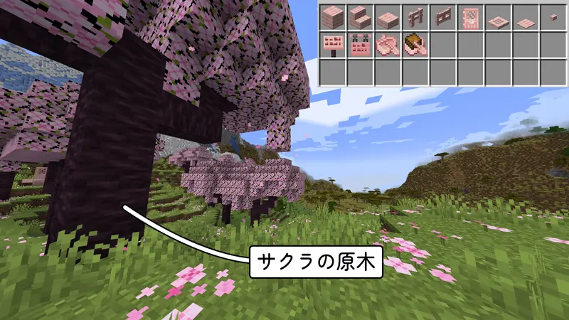 マイクラ　桜バイオームには桜の原木がある