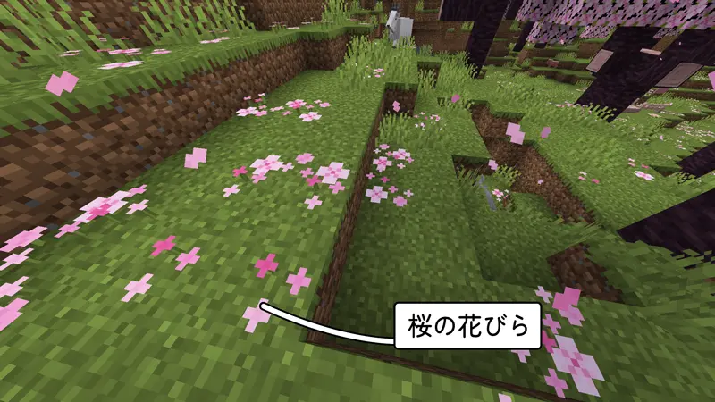 マイクラ　桜バイオームには桜の花びらがある